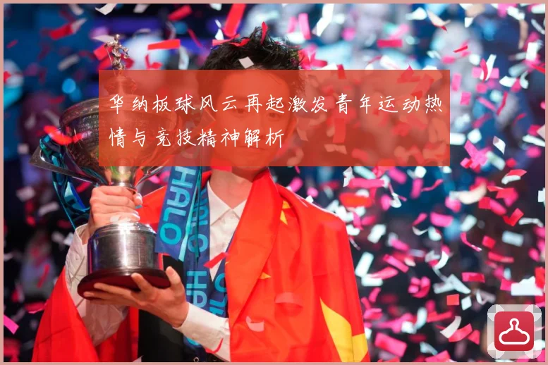 华纳板球风云再起激发青年运动热情与竞技精神解析