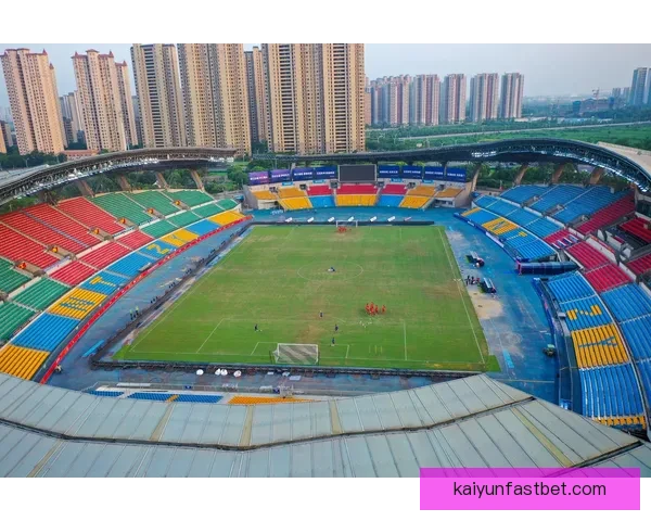 聚焦2026世界杯球场城市群的赛事文化与体验全景解析深度观