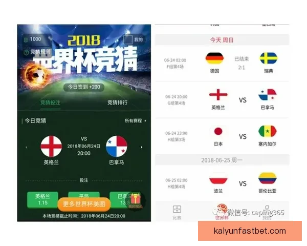 世界杯竞猜稳定平台推荐，助力球迷精准投注赢大奖